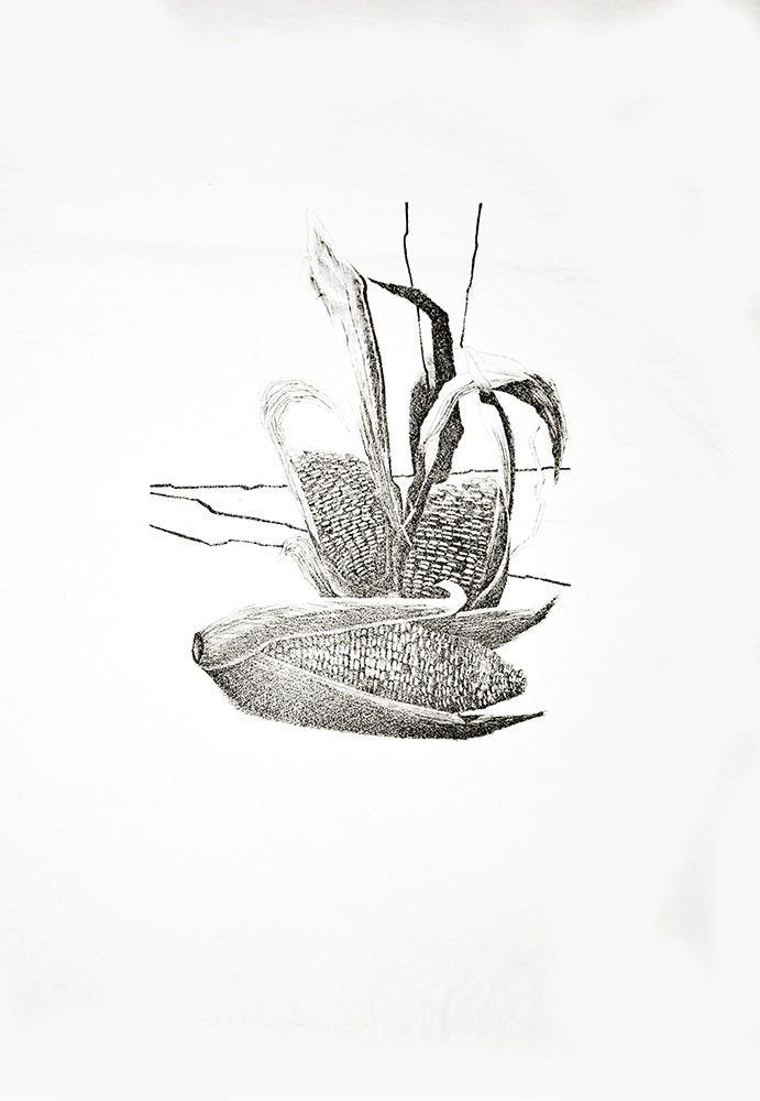 Graphic Art