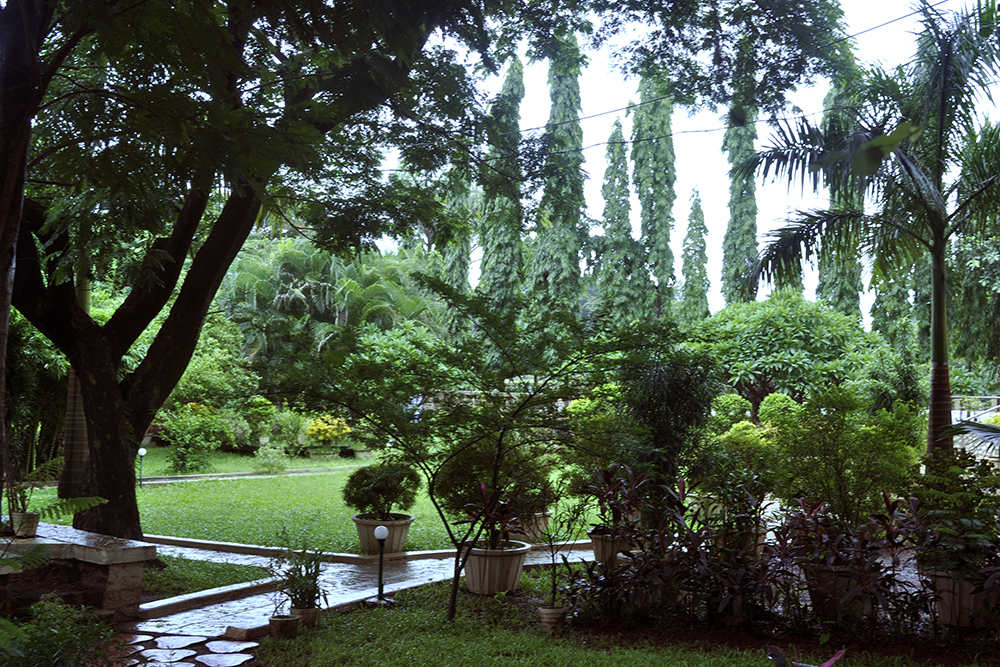 Photographs